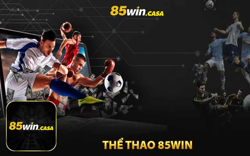 Thể thao 85win -
 Cược thể thao cực đã cực kịch tính