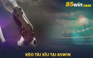 Kèo Tài Xỉu Tại 85win